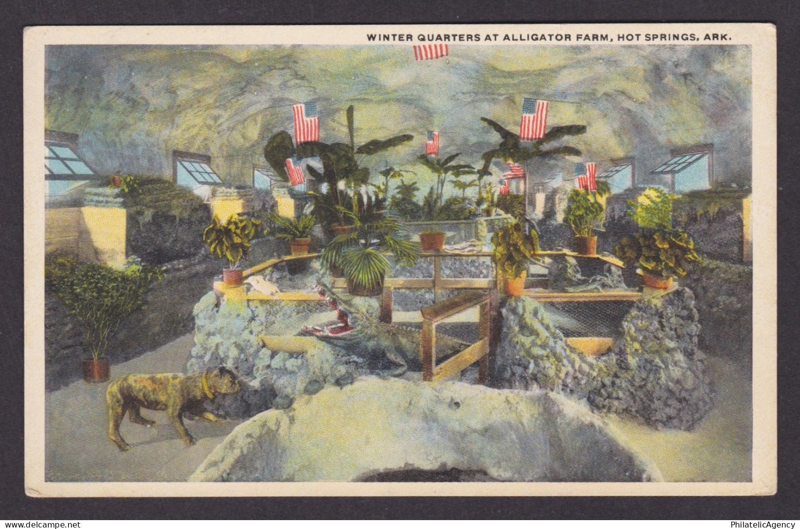 Vintage postcard USA Hot Springs AR Alligator Farm Winter Quarters Crocodiles