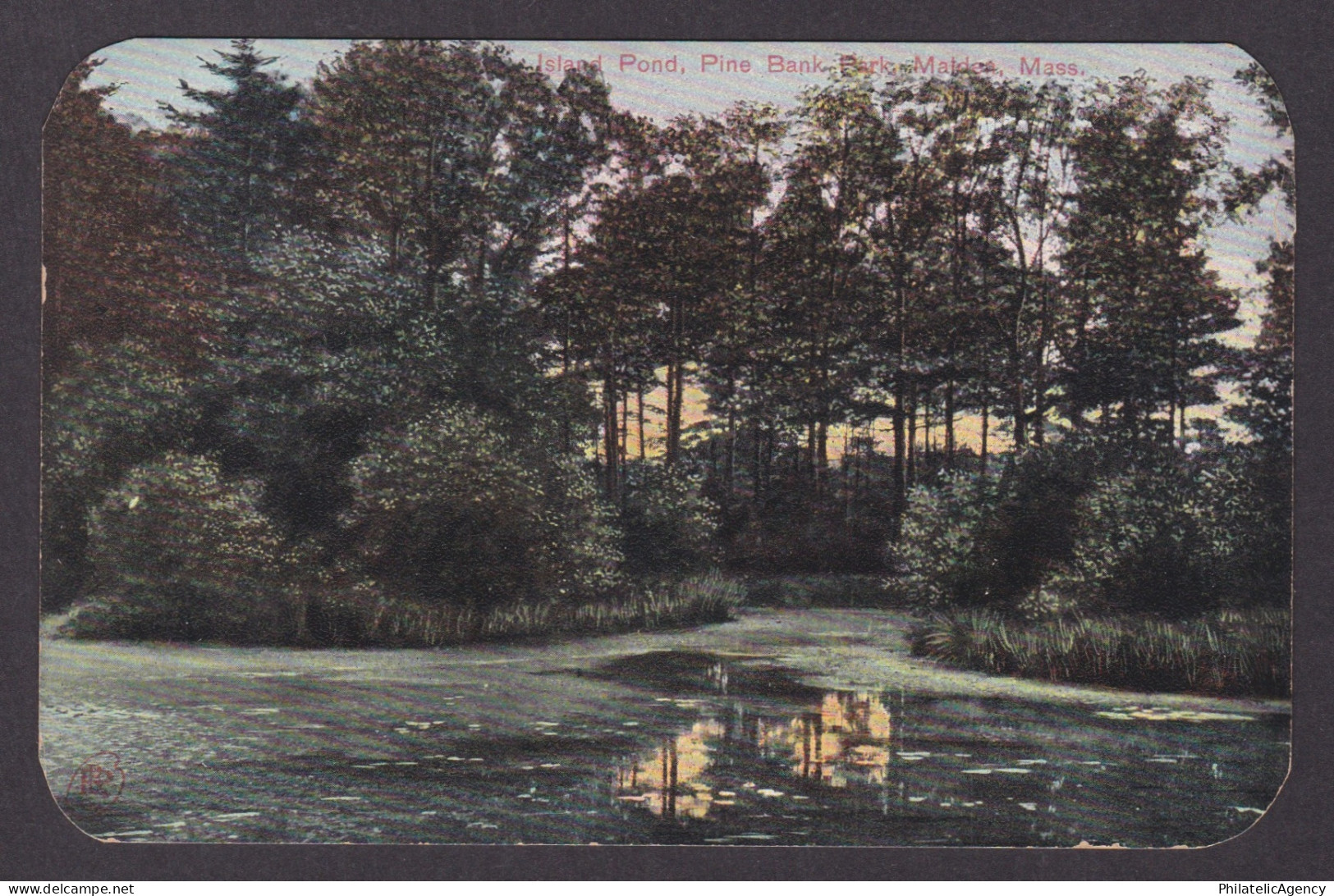 Vintage postcard USA Malden MA Massachusetts Island Pond Pine Bank Park Nature