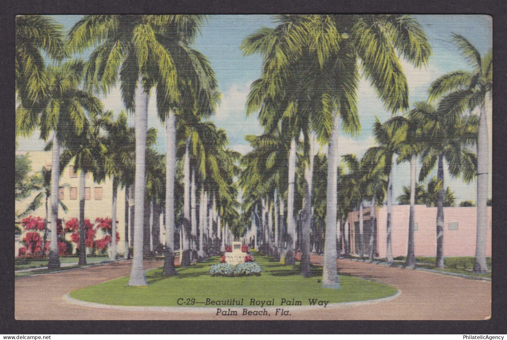 Vintage postcard USA Palm Beach FL Royal Palm Way Palms Street View