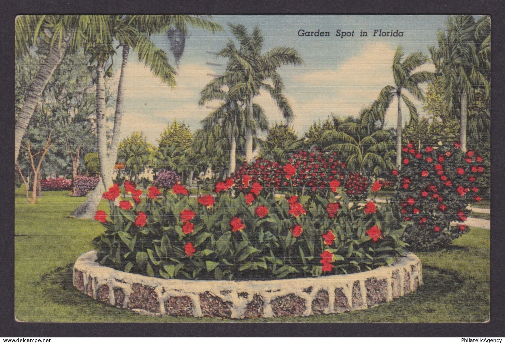 Vintage postcard USA Tampa FL Florida Canna Lilies Garden Palm Trees Garden Spot