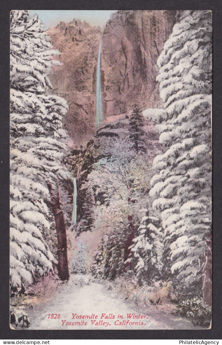 Vintage postcard USA Yosemite CA Yosemite Valley Snowy Winter Forest Waterfall