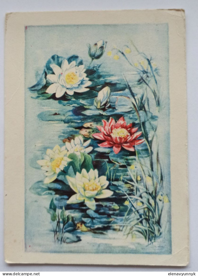 Vintage postcard "Water Lilies." Yugoslavia, 1960s.