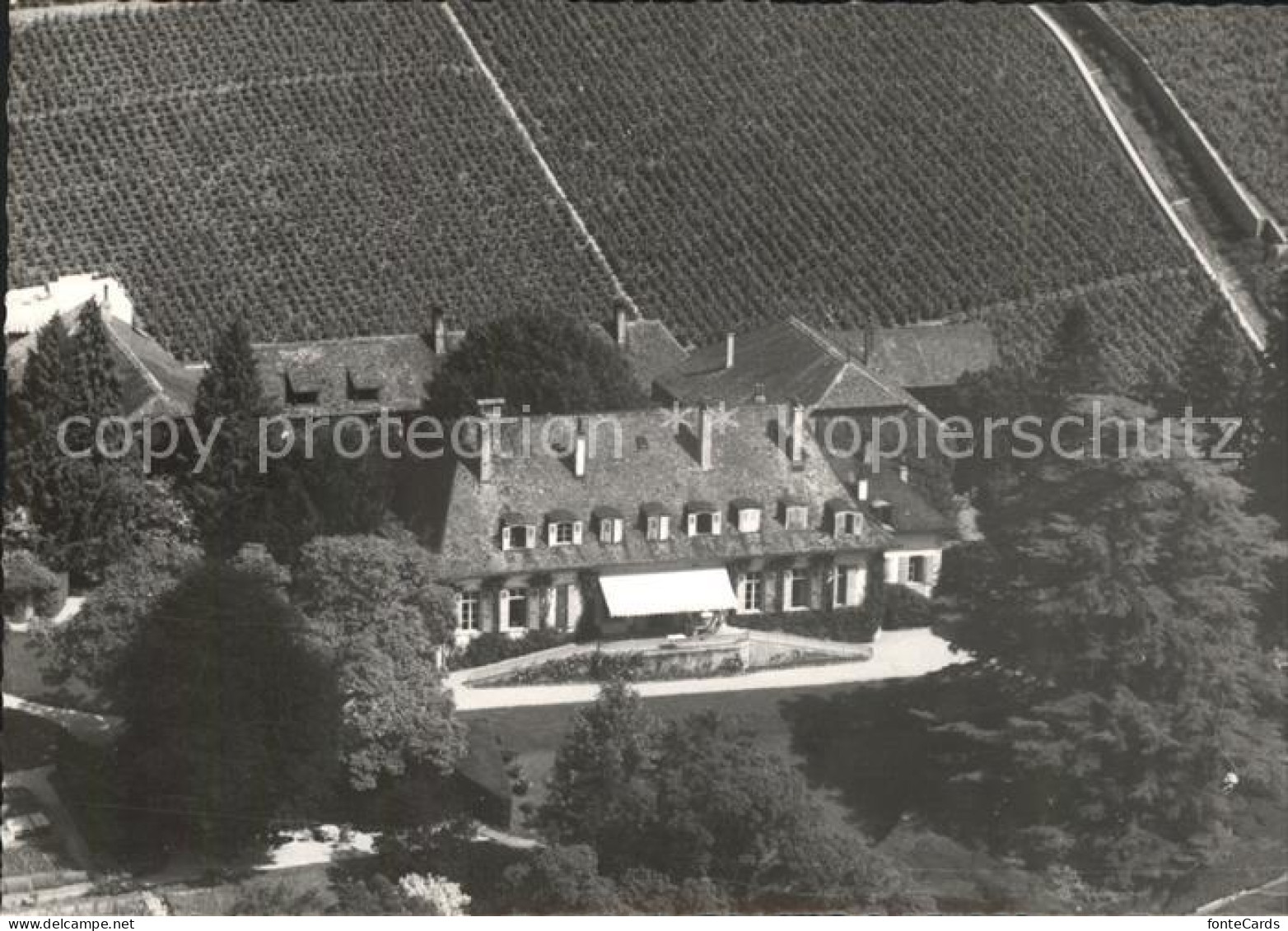 Vinzel Chateau La Batie vue aerienne