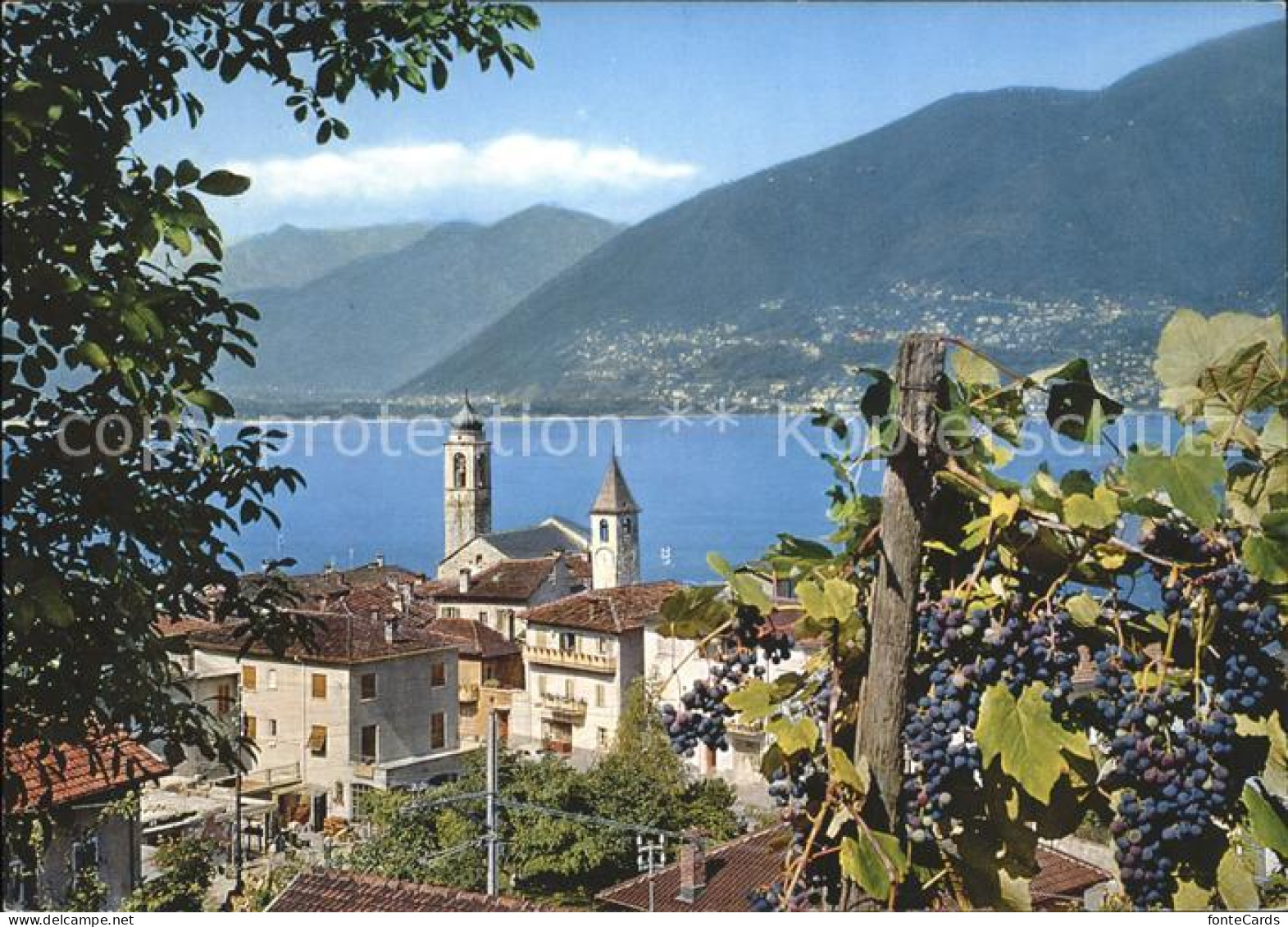 Vira Gambarogno Il Gambarogno pittoresco