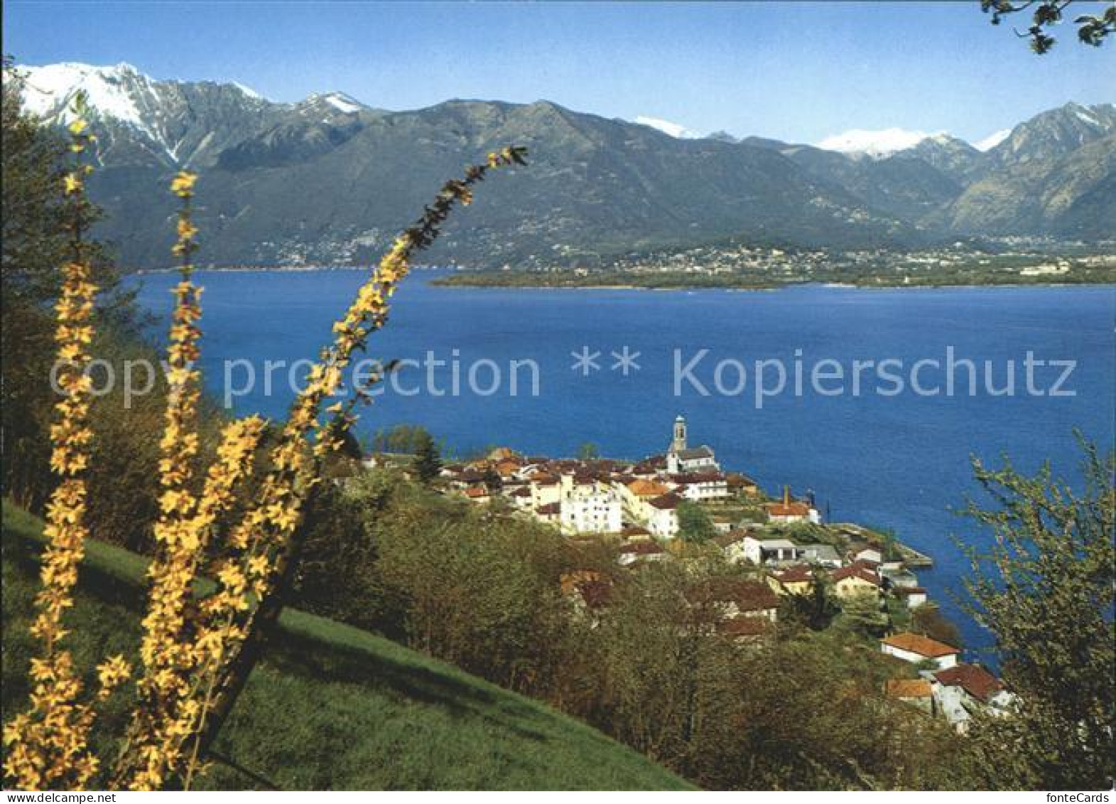 Vira Gambarogno Lago Maggiore