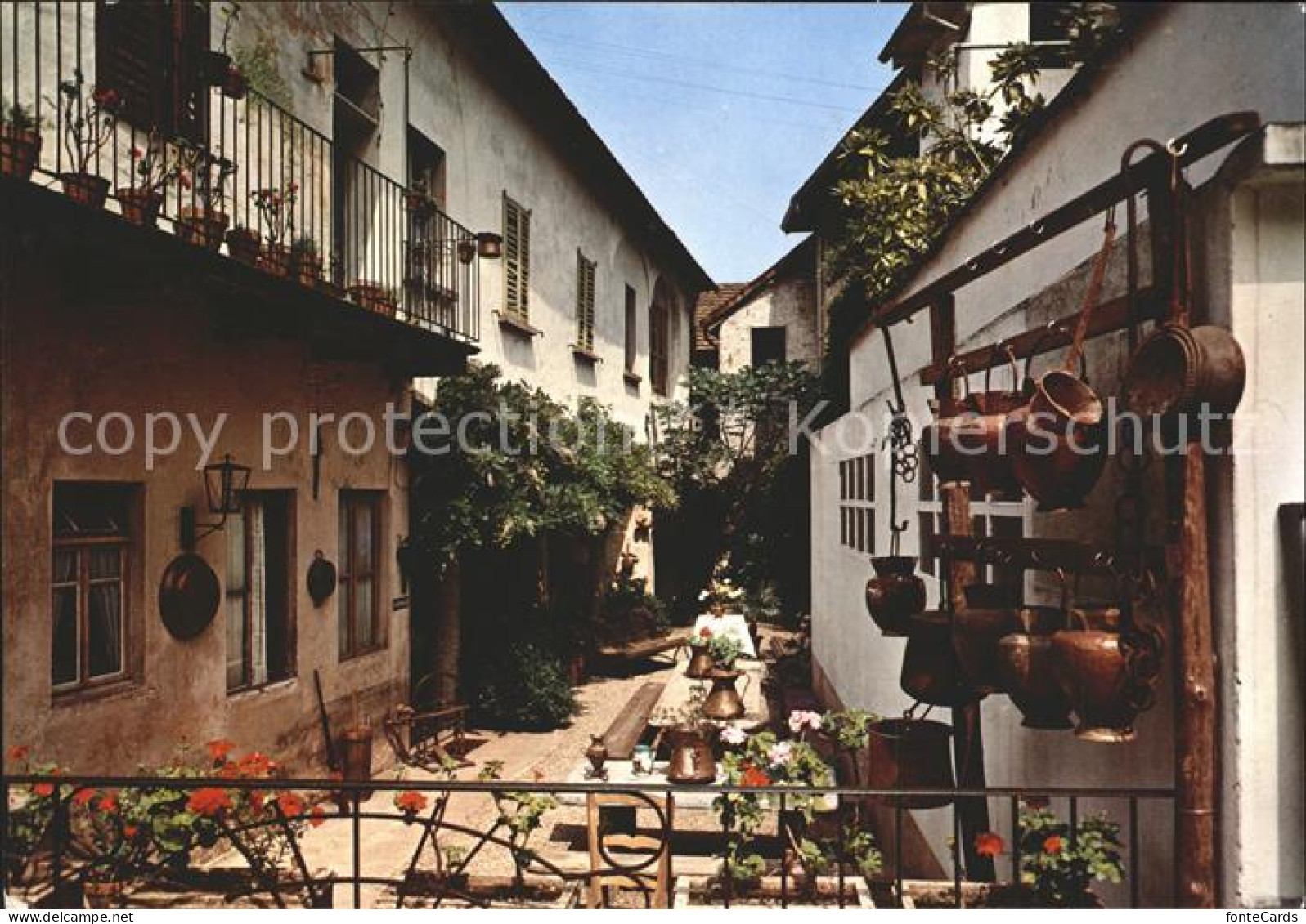 Vira Gambarogno Motiv Ticinese