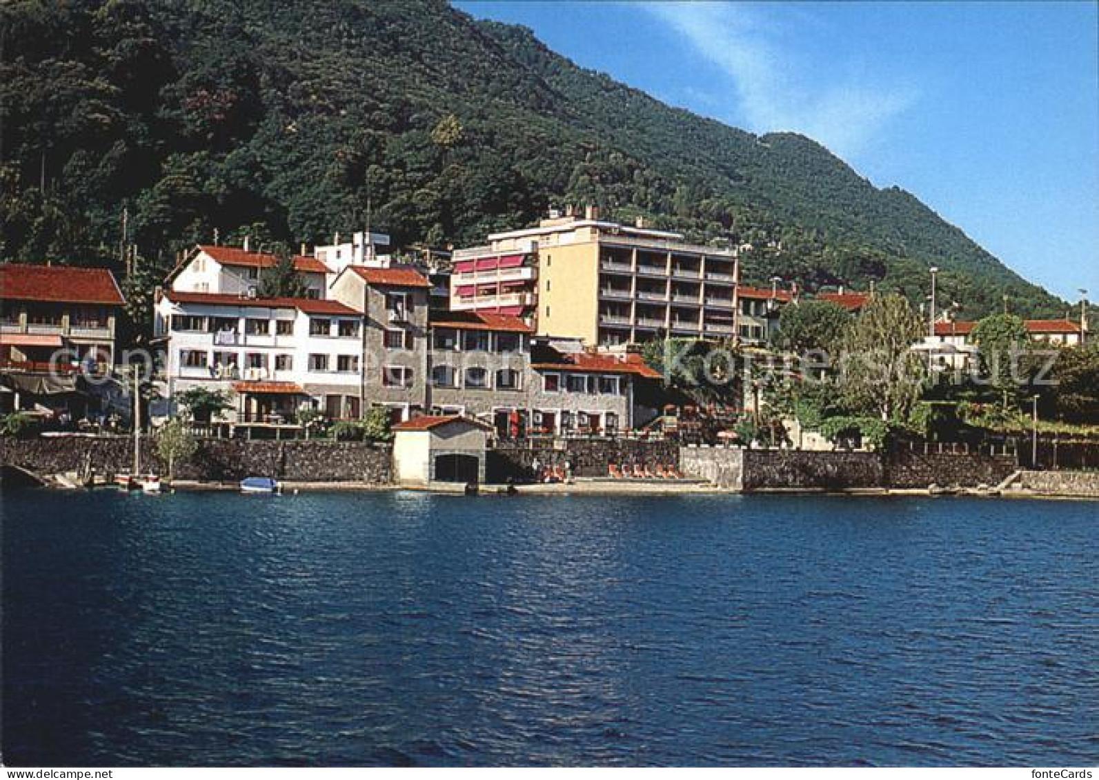 Vira Gambarogno Panorama