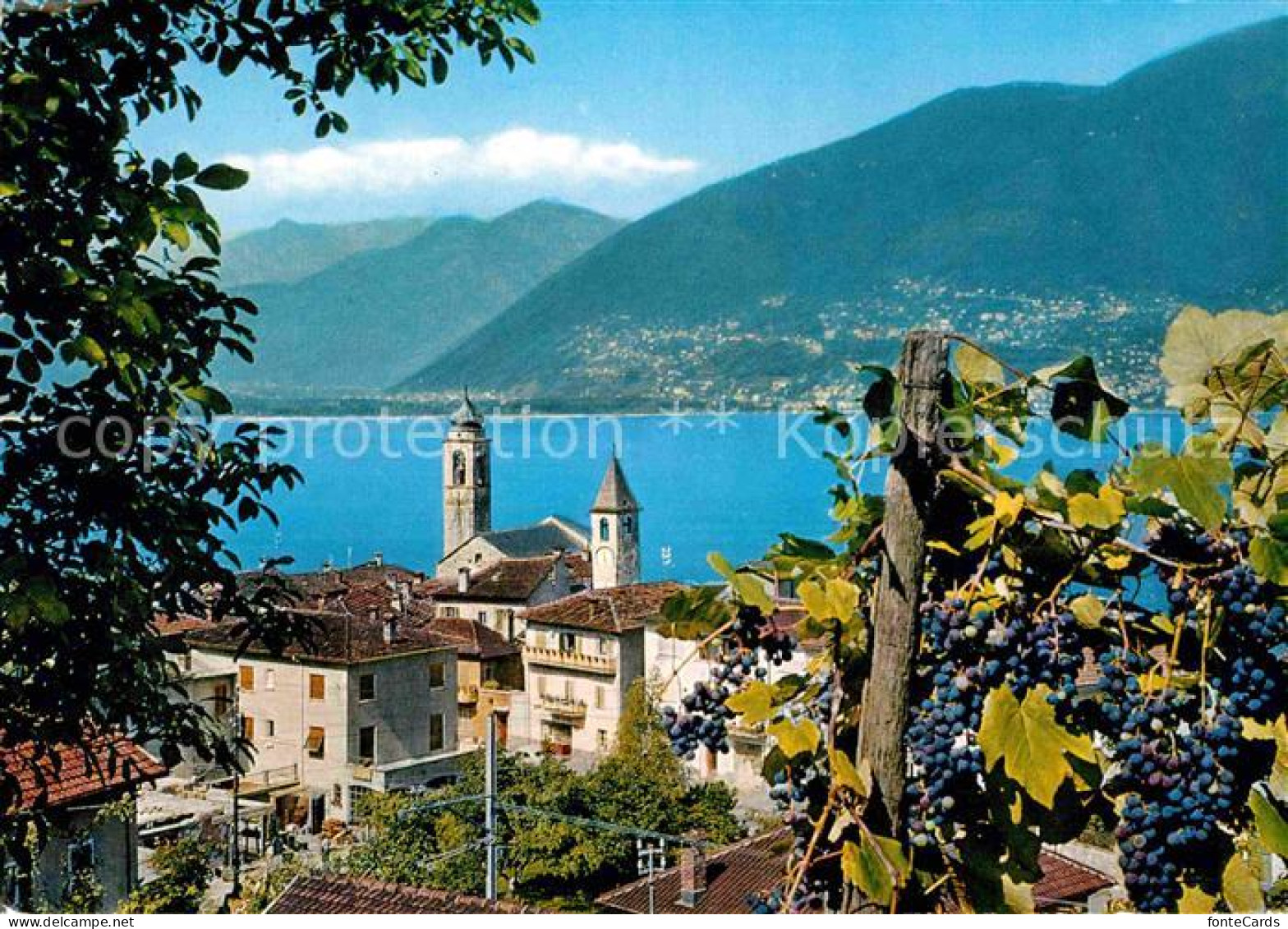 Vira Gambarogno Panorama