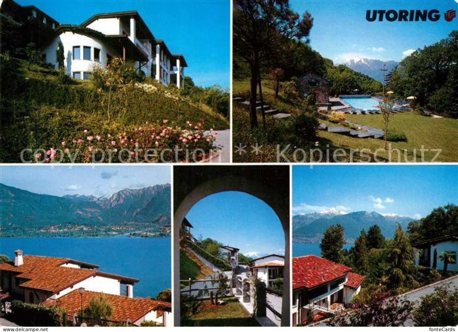 Vira Gambarogno Utoring Viramonte Swimming Pool Lago Maggiore Alpenpanorama