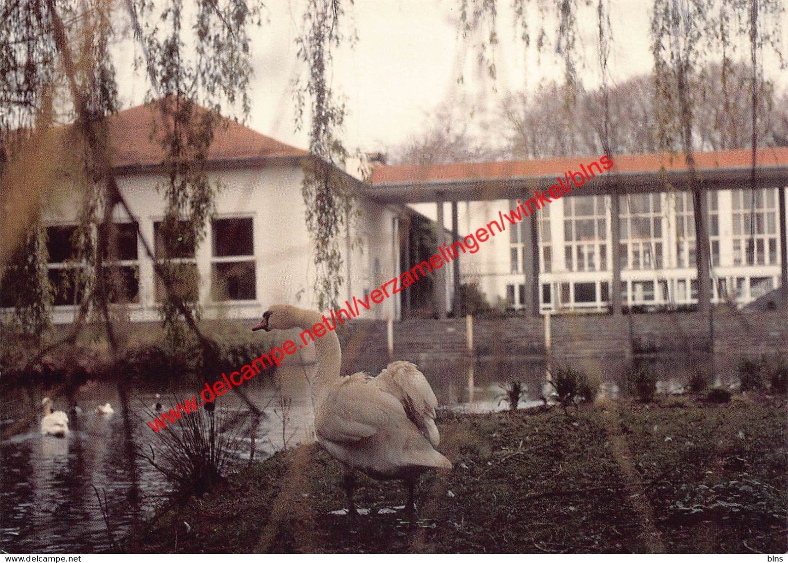 Virgo Fidelis Diocesaan Centrum - Torhout