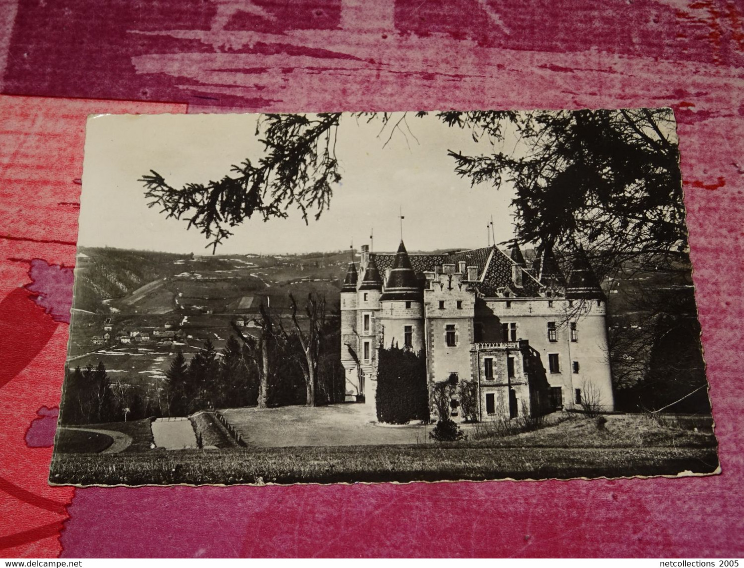 VIRIEU-SUR-BOURBRE - CHATEAU DES PUPETIERES  - 38 ISERE (C.A)