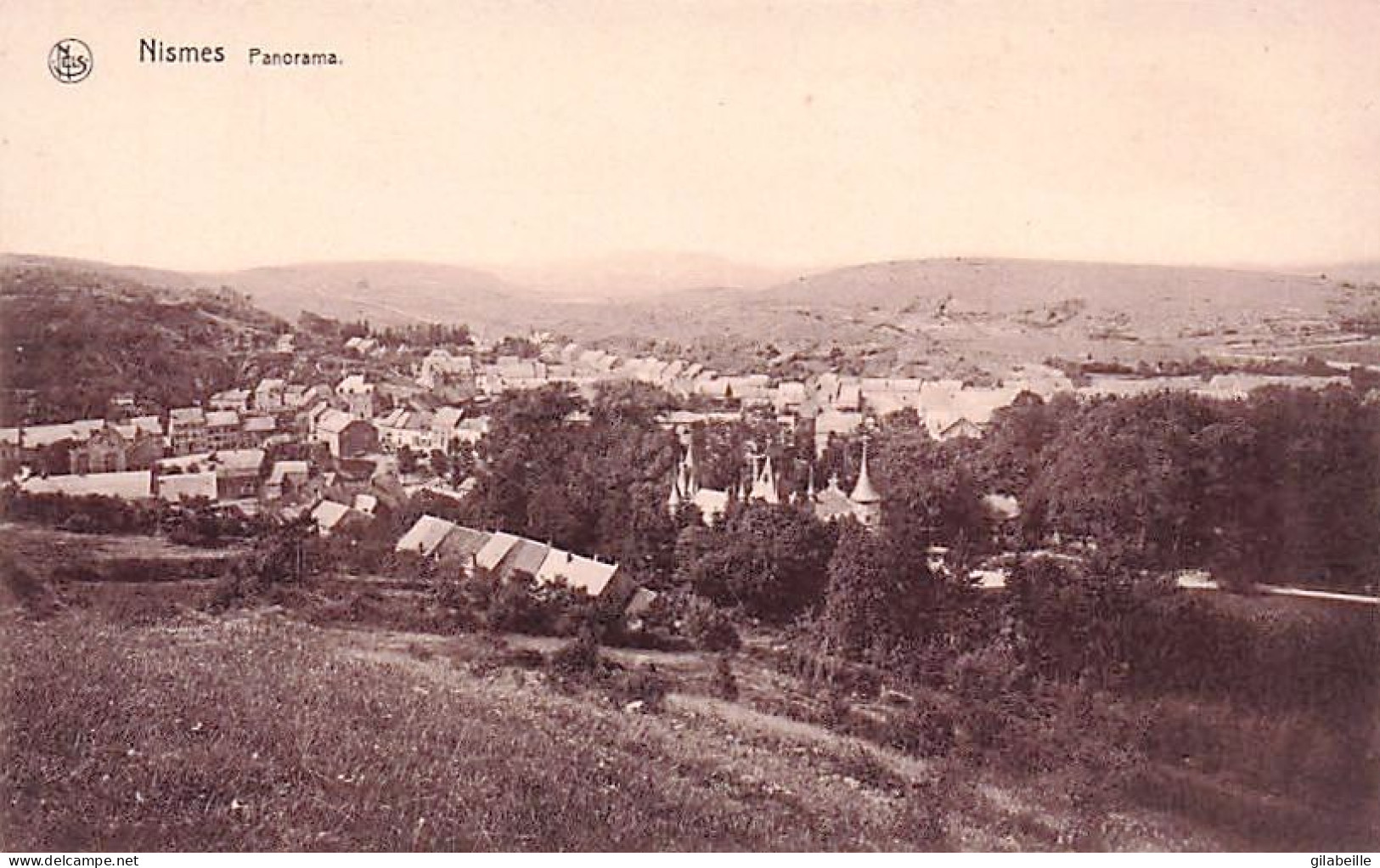 Viroinval -  vallée du Viroin - NISMES - panorama