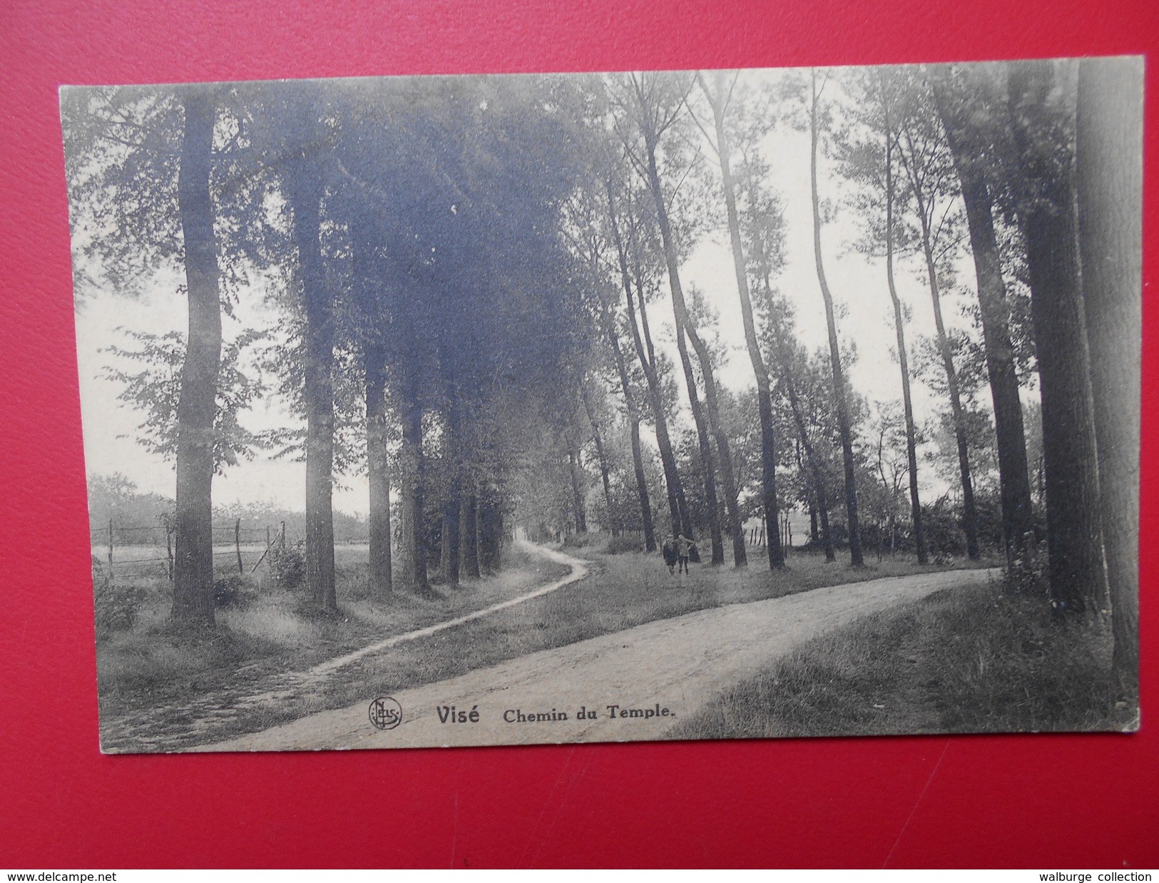 Visé :Chemin du Temple (V2257)