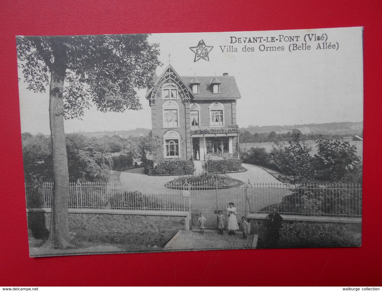 Visé(Devant-le-Pont) :Villa des Ormes-ANIMATION (V2249)