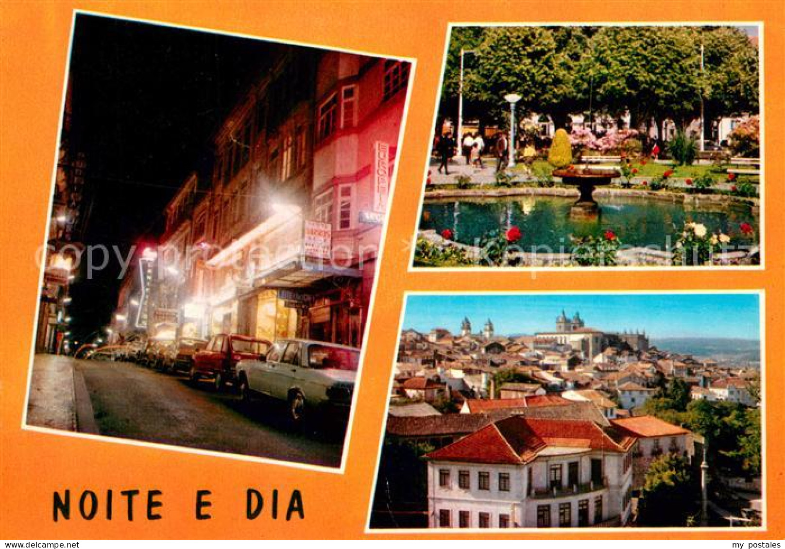 Viseu Noite e dia