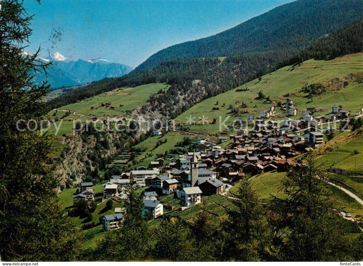 Visperterminen Panorama