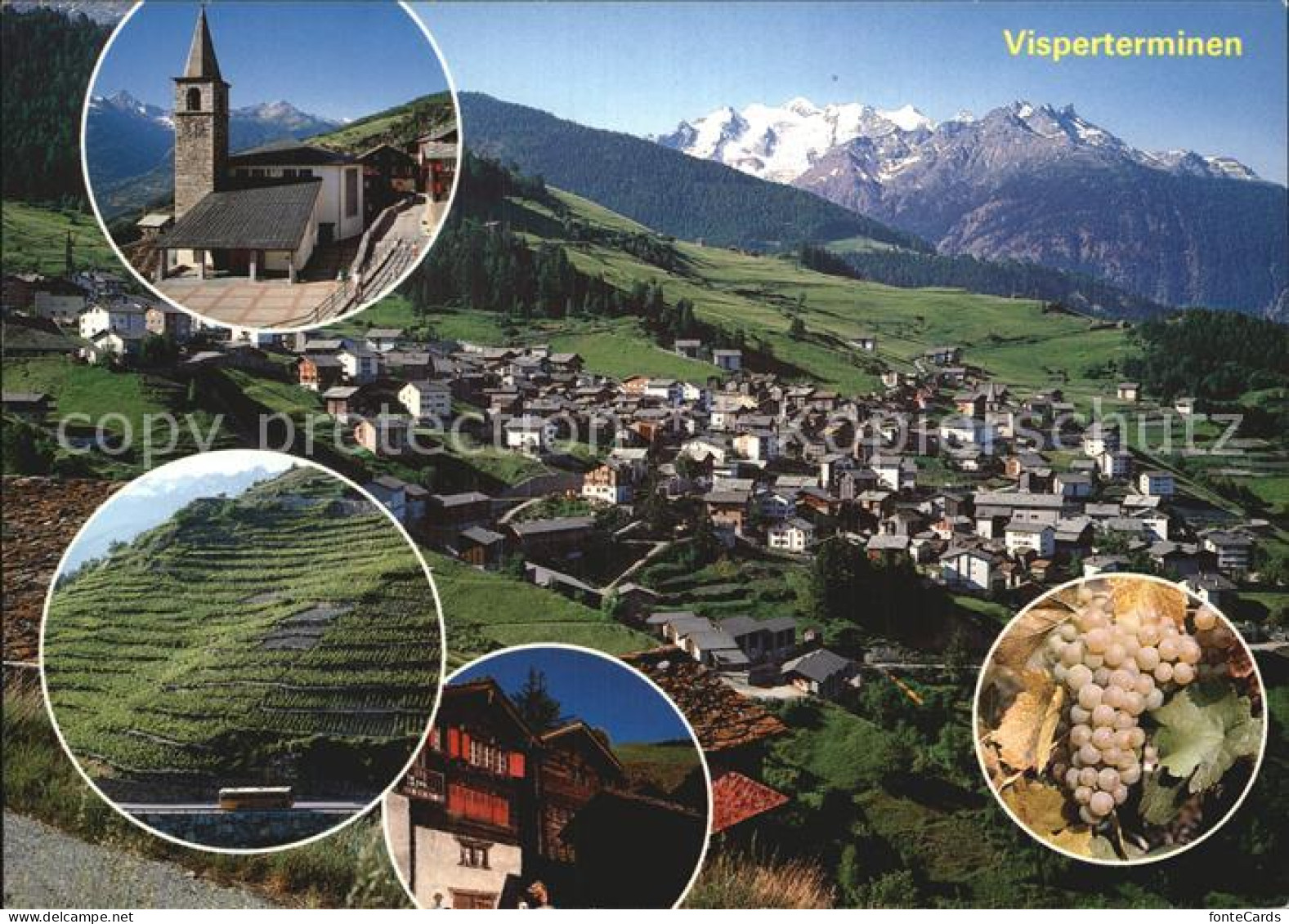 Visperterminen Weinberge