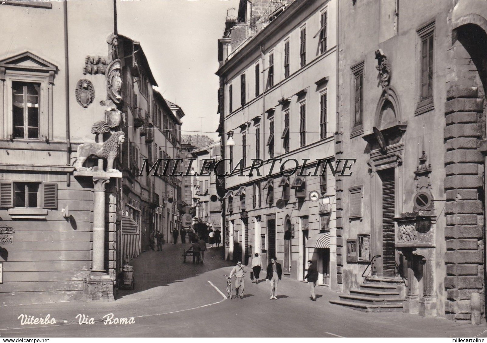 VITERBO: Via Roma  1964