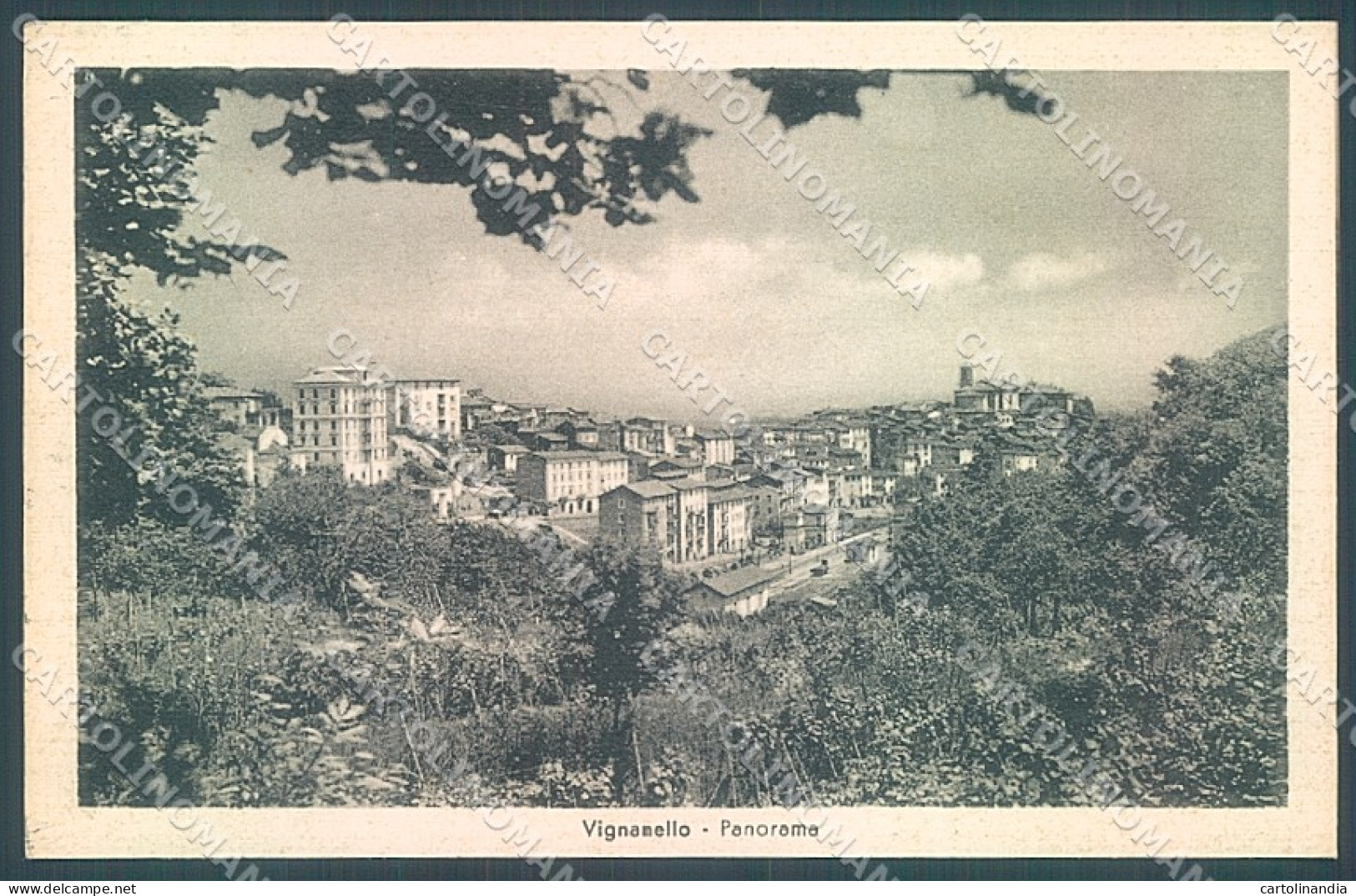 Viterbo Vignanello cartolina JK6974