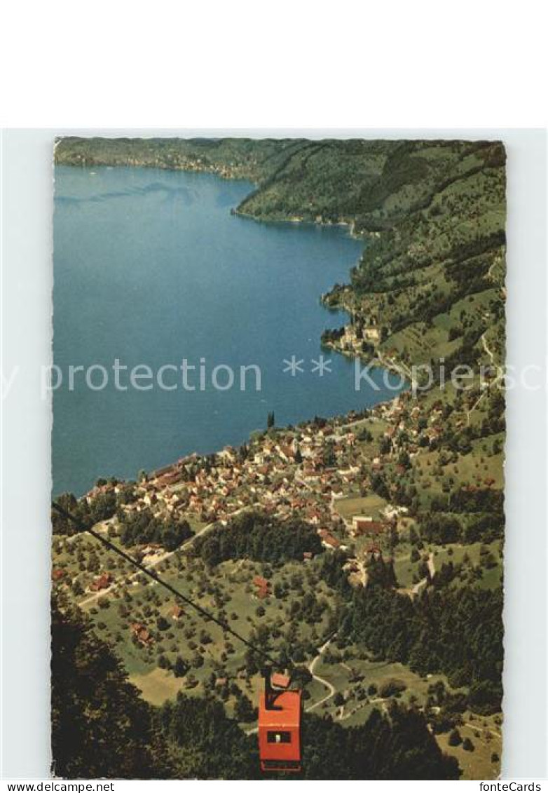 Vitznau Luftseilbahn Vitznau Weissfluh