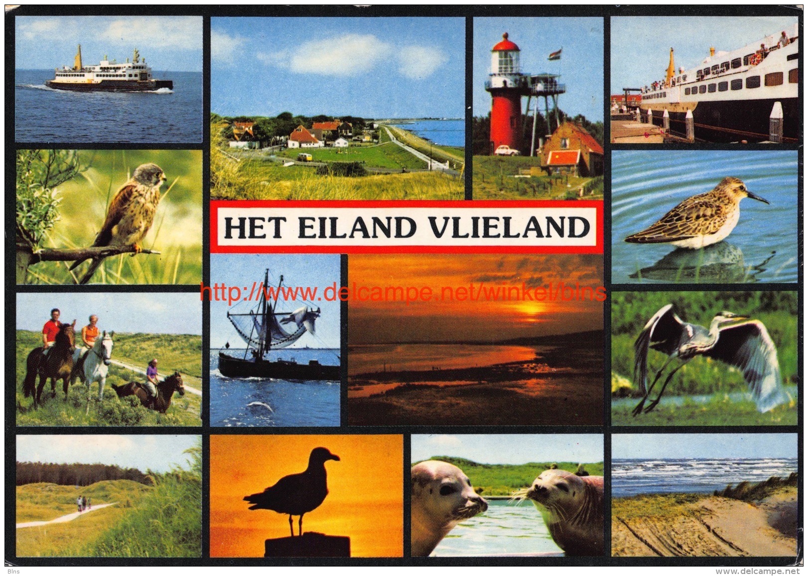 Vlieland