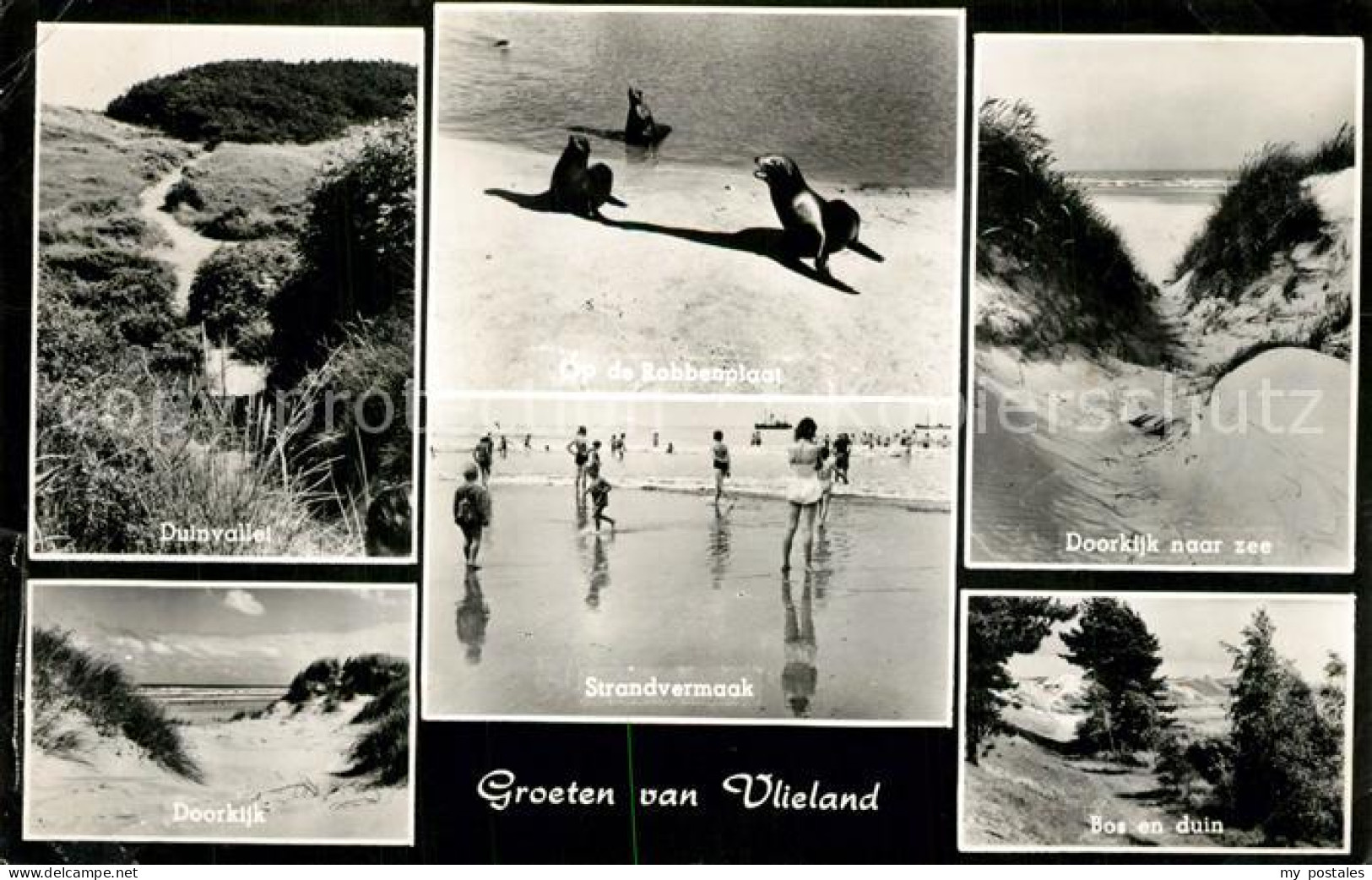 Vlieland Doorkijk