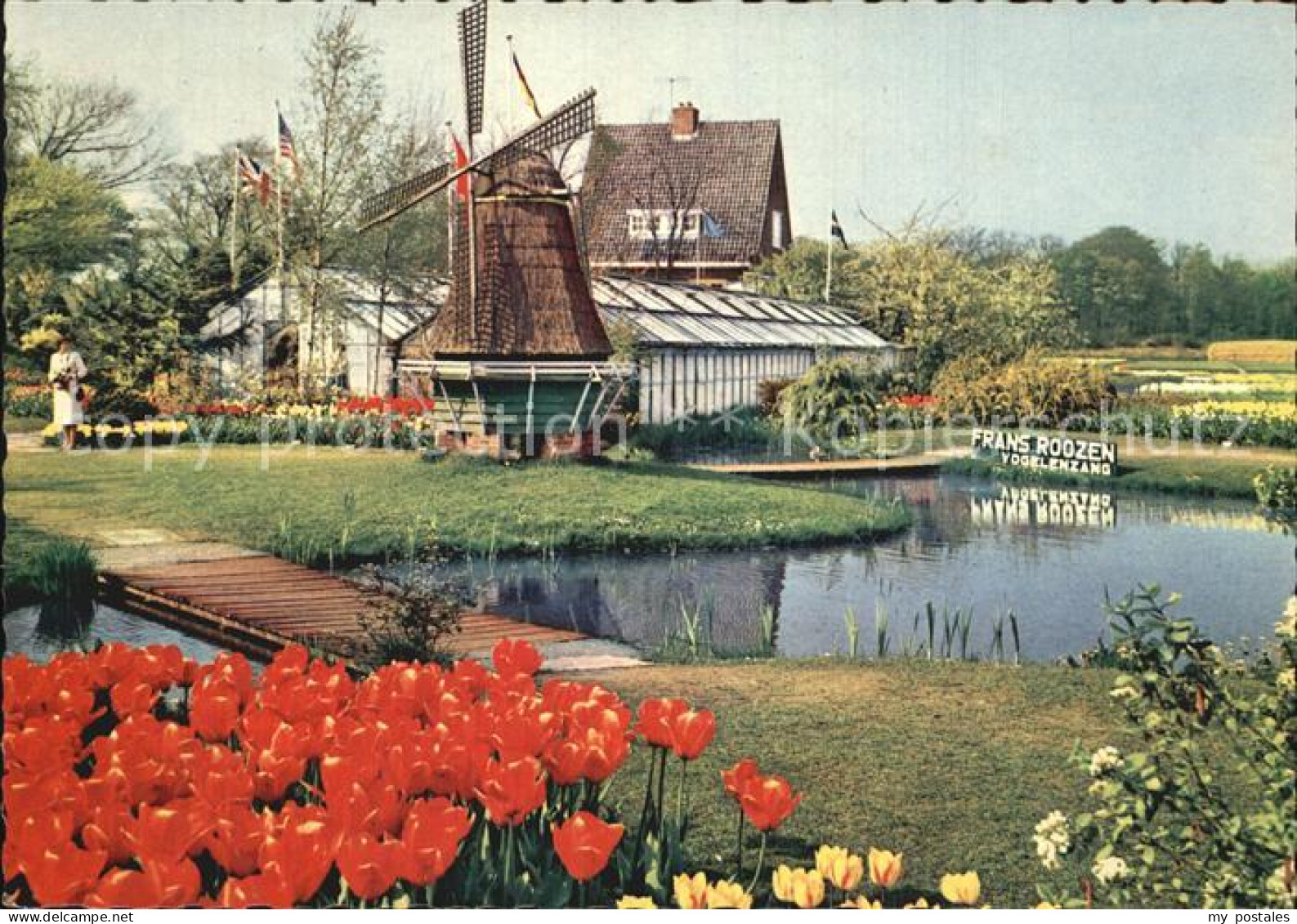 Vogelenzang Noord Holland Tulipshow Frans Roozen Tulpen Ausstellungsgarten