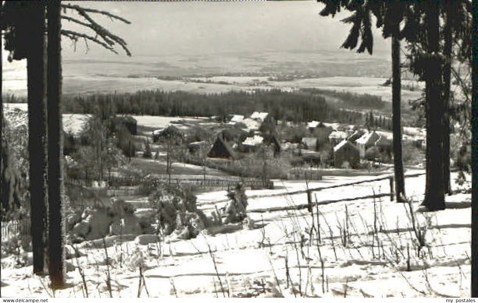 Vogelgruen Vogtl x 1971