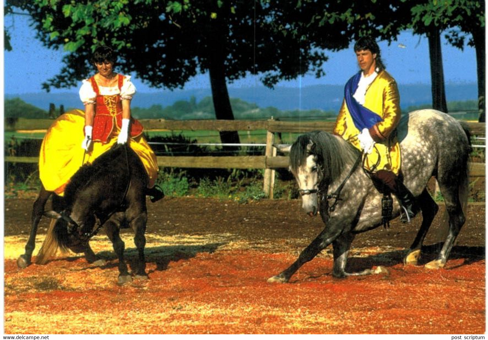 Vogelgrun - Pferde musical Le Prince - 2 cartes