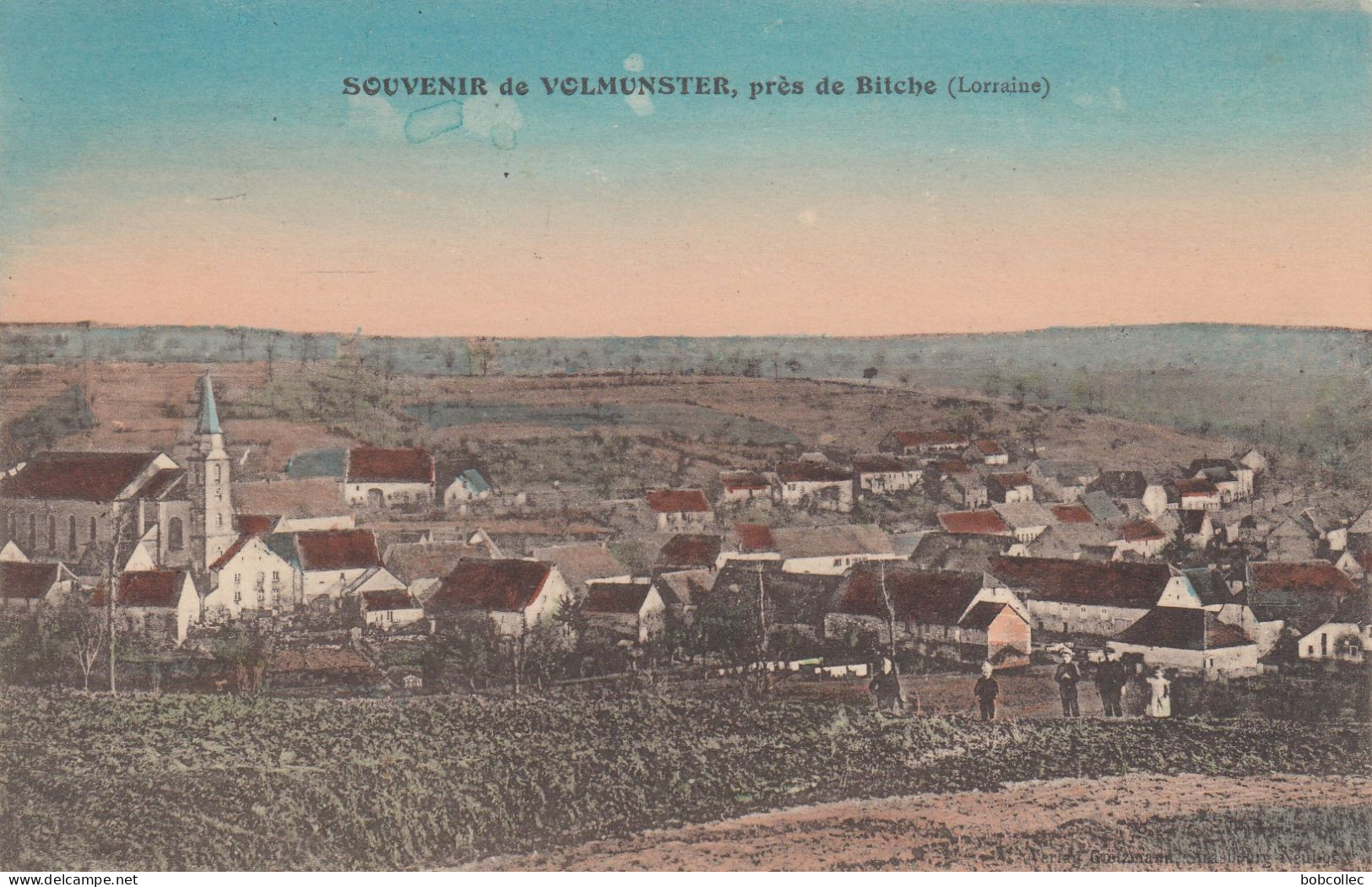 VOLMUNSTER (Moselle): près de Bitche - Vue générale