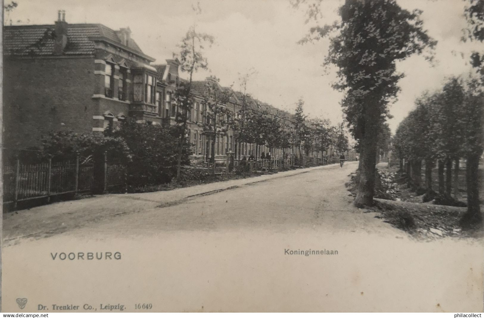 Voorburg (ZH) Koninginnelaan ca 1900