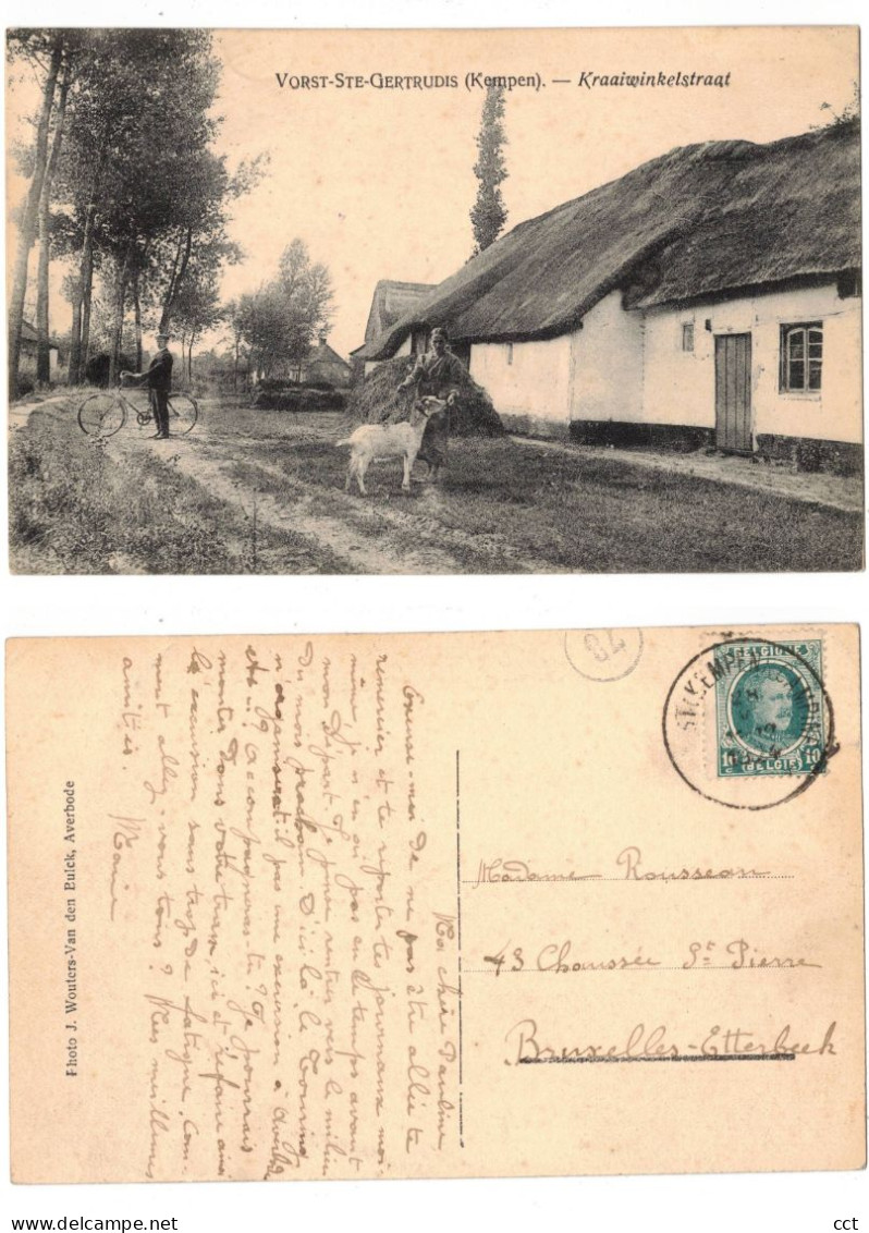 Vorst  Kempen  Laakdal  Kraaiwinkelstraat      GEIT CHEVRE