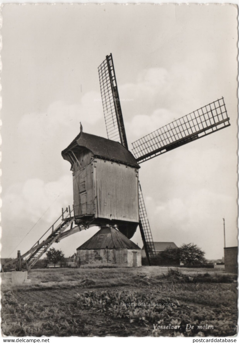Vosselaar - De molen - & windmill