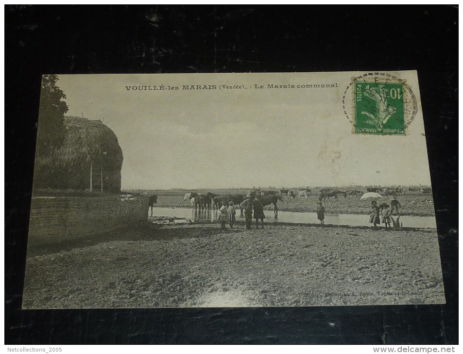 VOUILLE-LES-MARAIS - LE MARAIS COMMUNAL - DES CHEVEAUX - 85 VENDEE (Q)