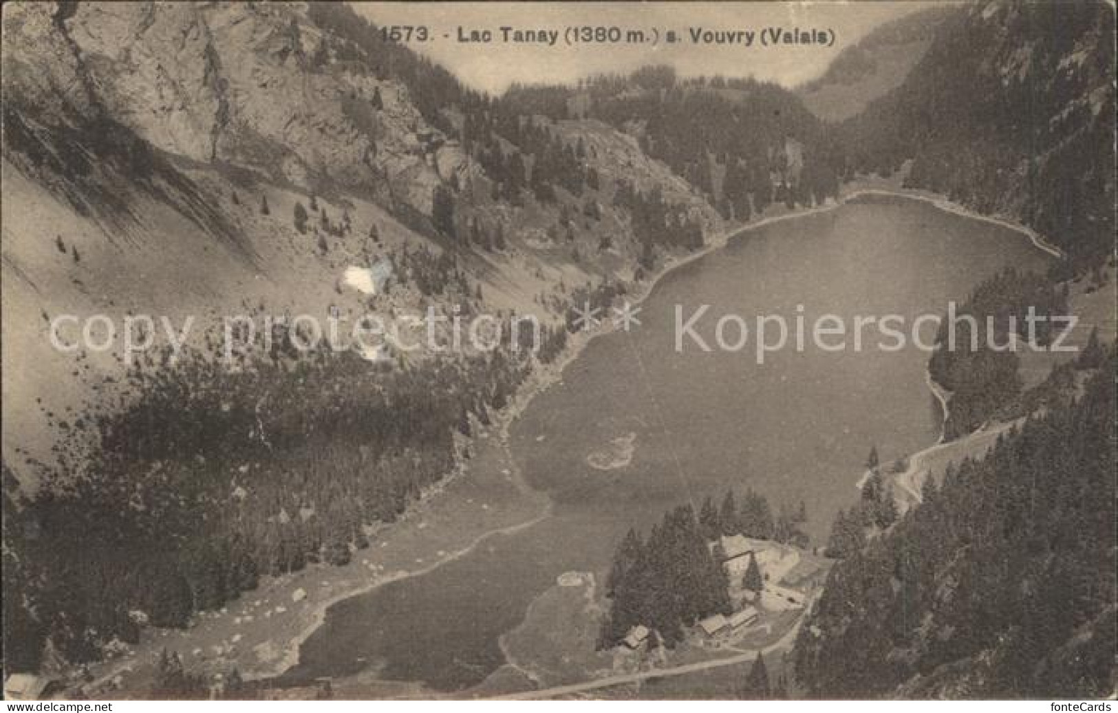 Vouvry Lac Tanay Fliegeraufnahme