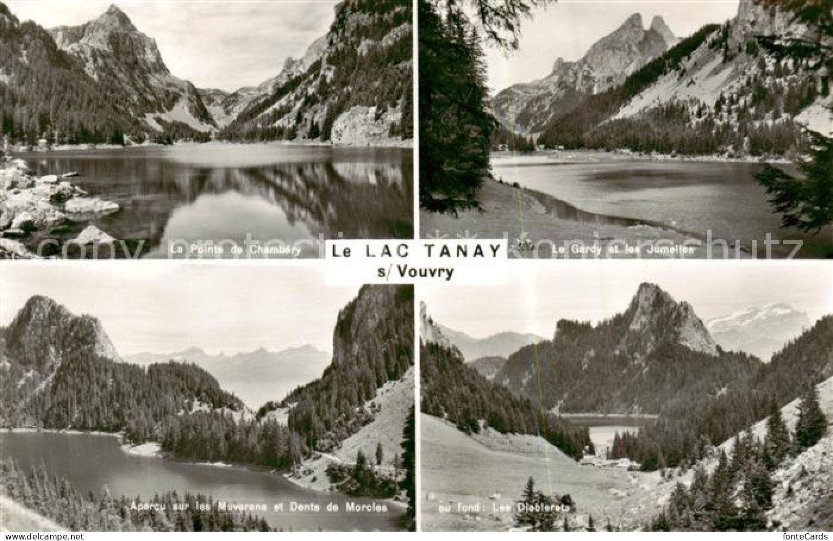Vouvry VS Le Lac Tanay Le Pointe de Chambery Le Gardy et les Jumelles Apercu sur