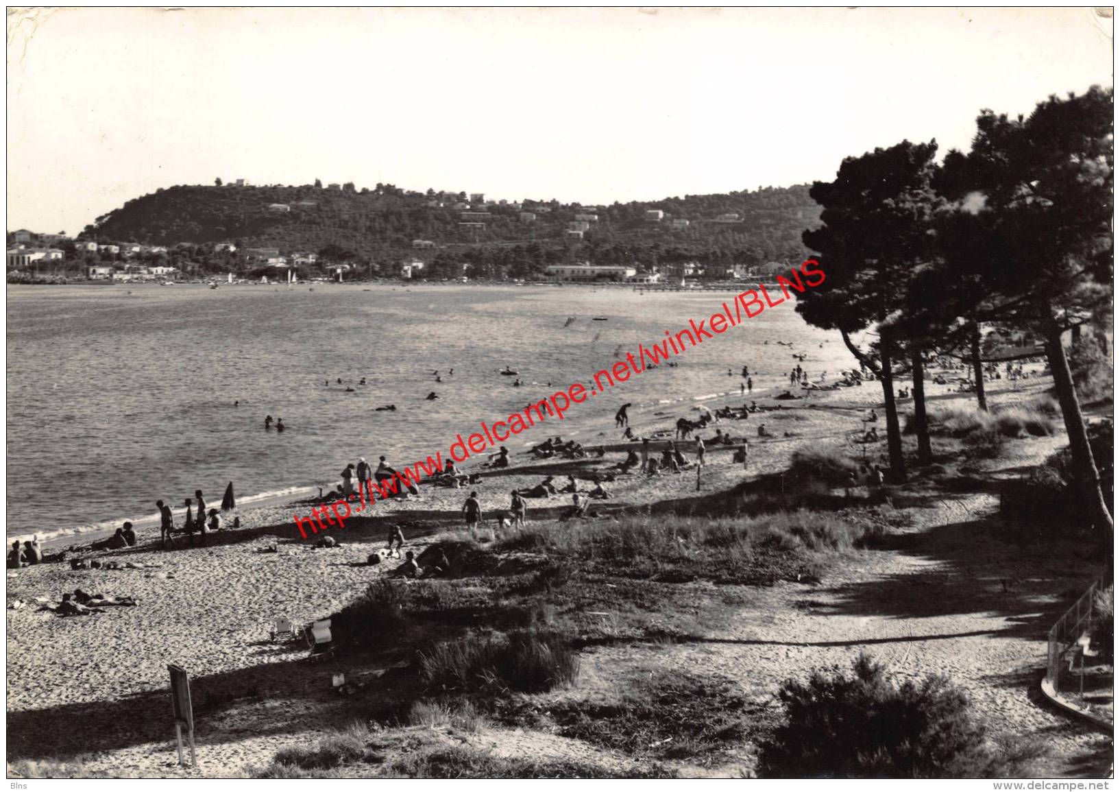 Vu de la Plage du Parc de Cavalaire - Cavalaire-sur-Mer