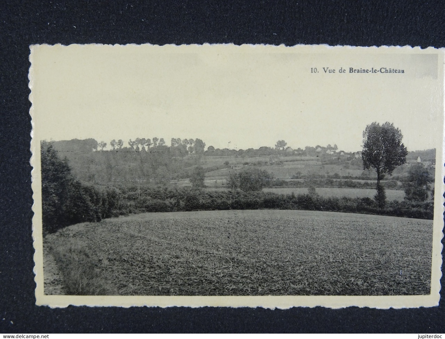 Vue de Braine-le-Château