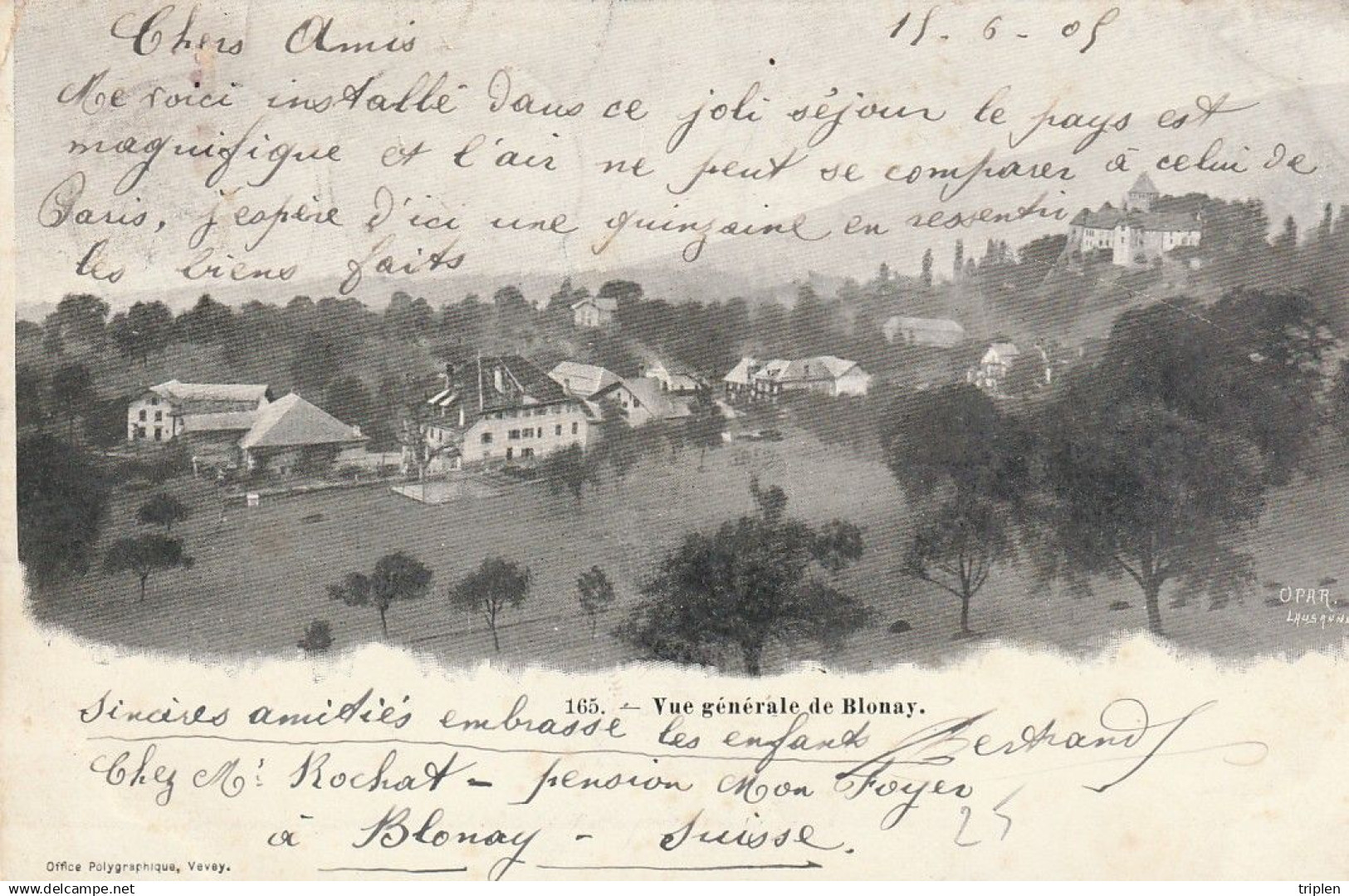 Vue générale de Blonay