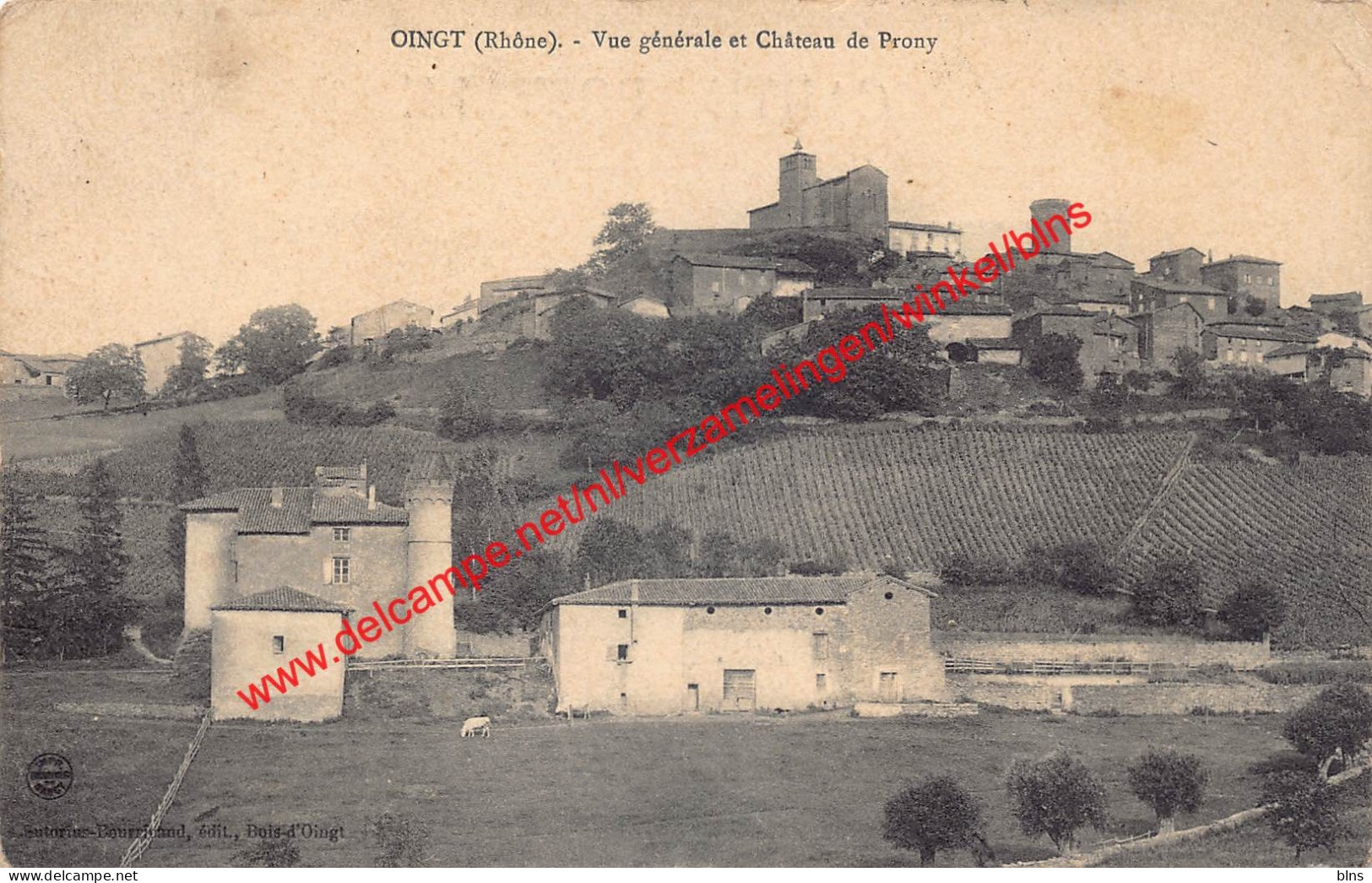 Vue générale et Château de Prony - Le Bois d'Oingt - (69) Rhône