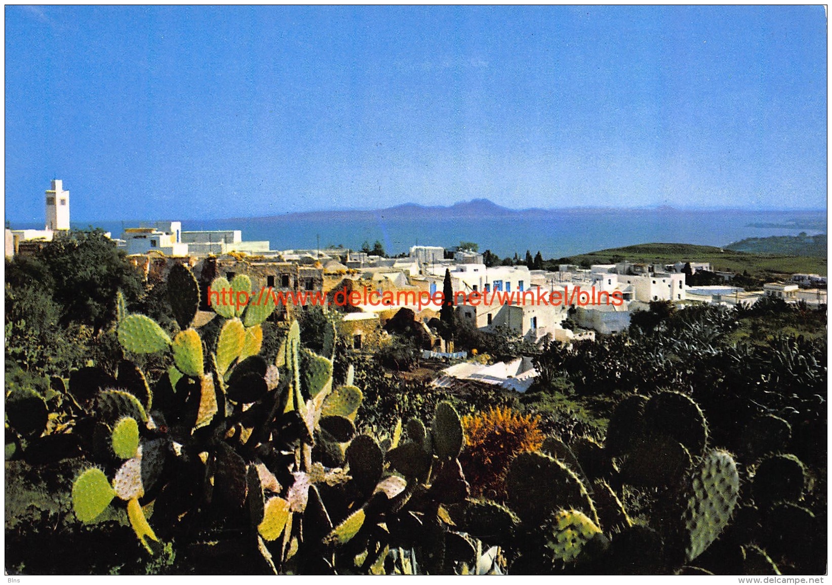 Vue generale - Sidi-Bou-Said