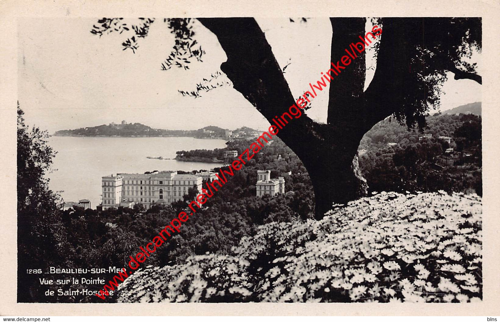 Vue sur la Pointe de Saint-Hospice - Beaulieu-sur-Mer - (6) Alpes Maritimes