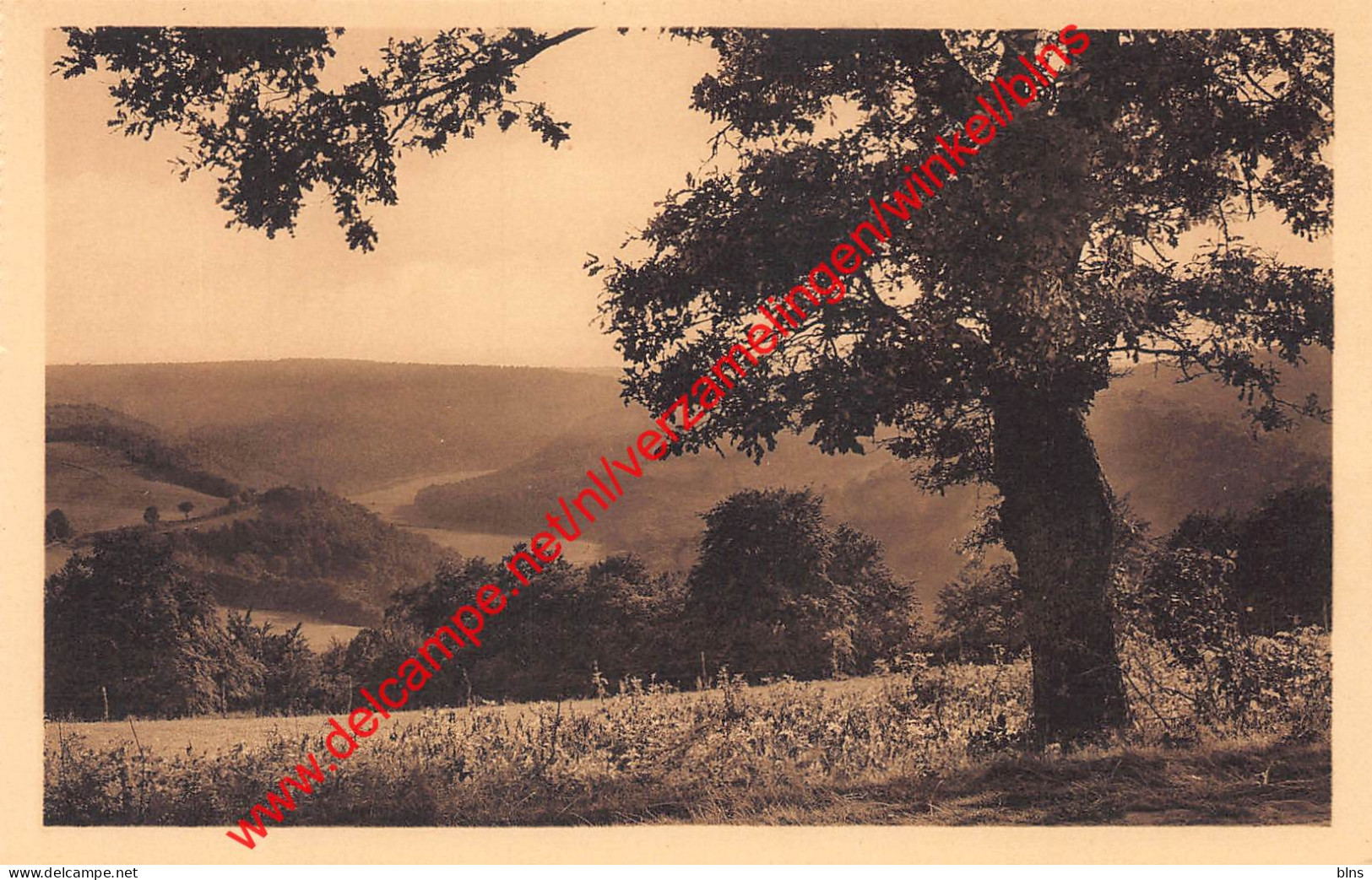 Vue sur la Semois - Auby-sur-Semois
