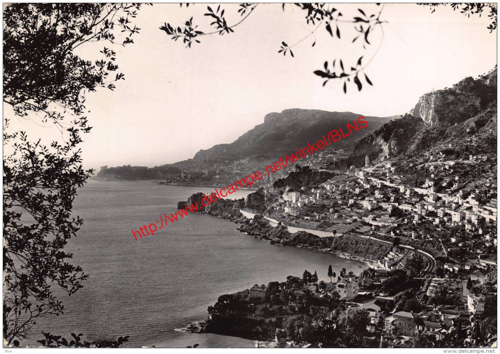 Vue sur Monte-Carlo - Roquebrune-Cap-Martin