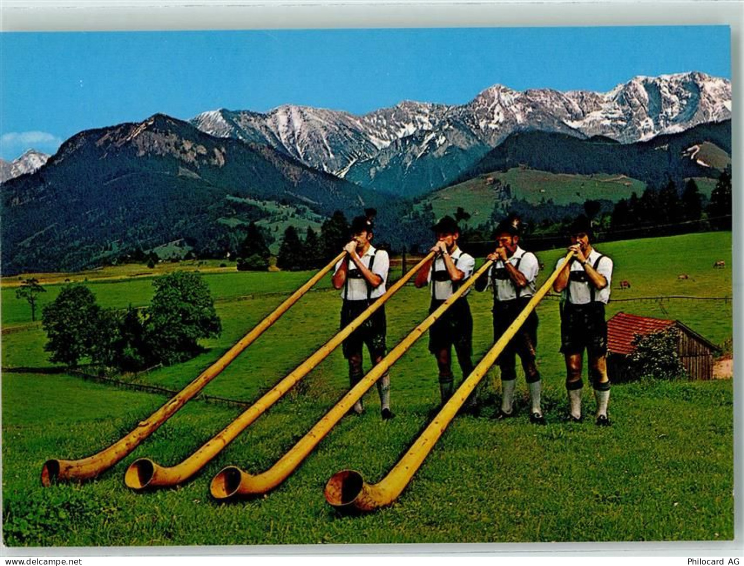 W8958 Füssen Vier Alphornbläser AK Alphorn - 10324480