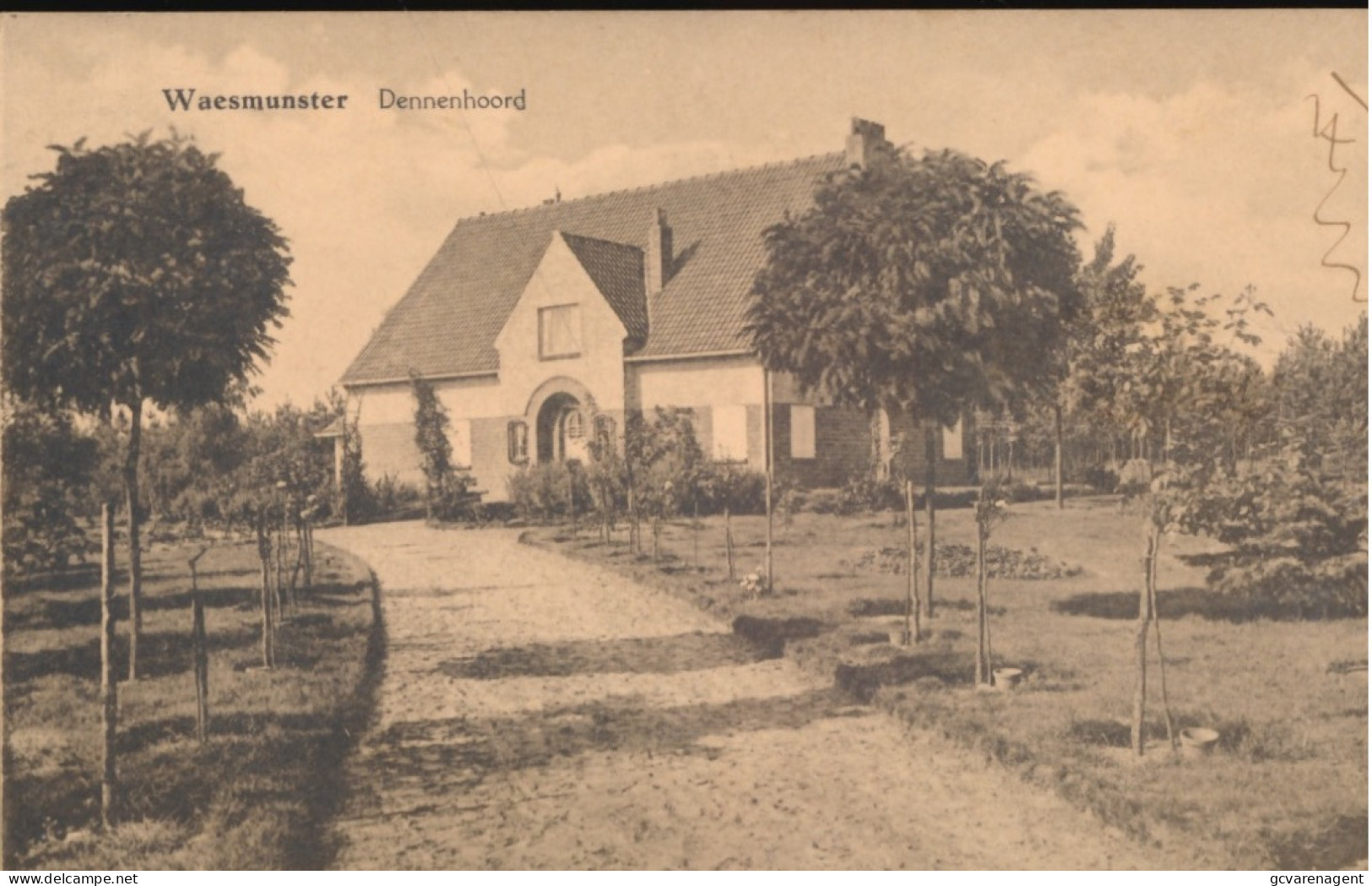 WAASMUNSTER      DENNENHOORD