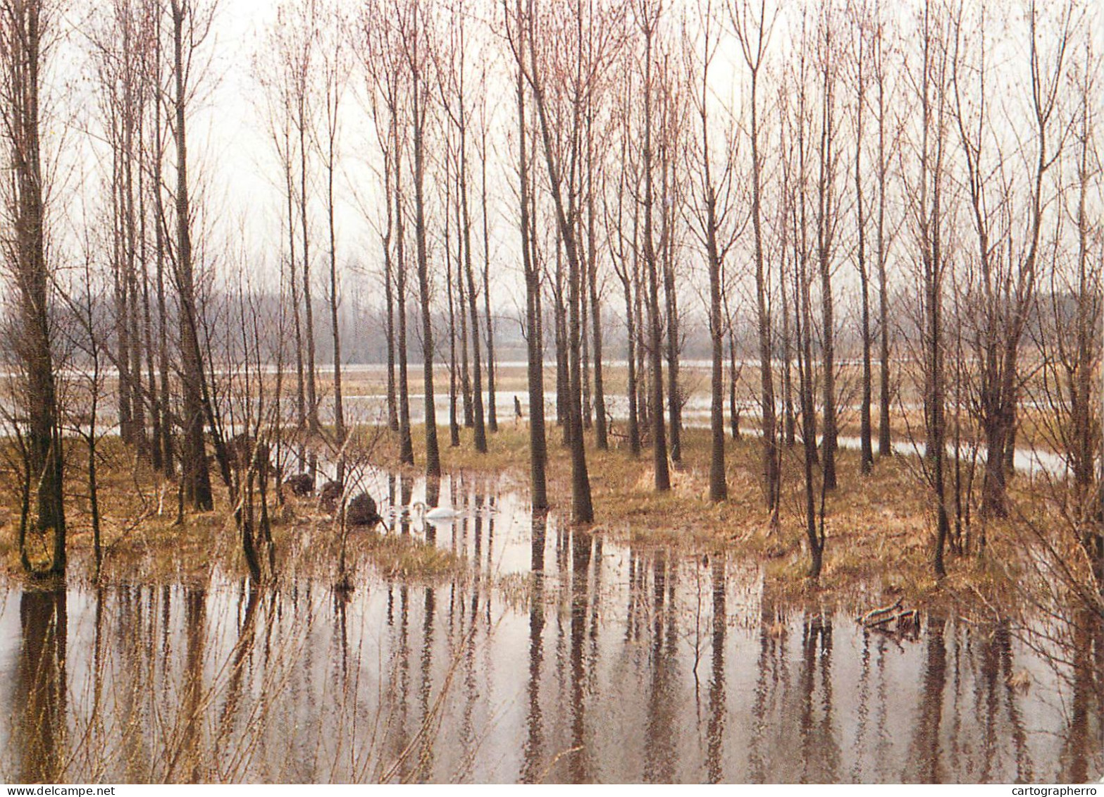 Waasmunster Durme Landschaft