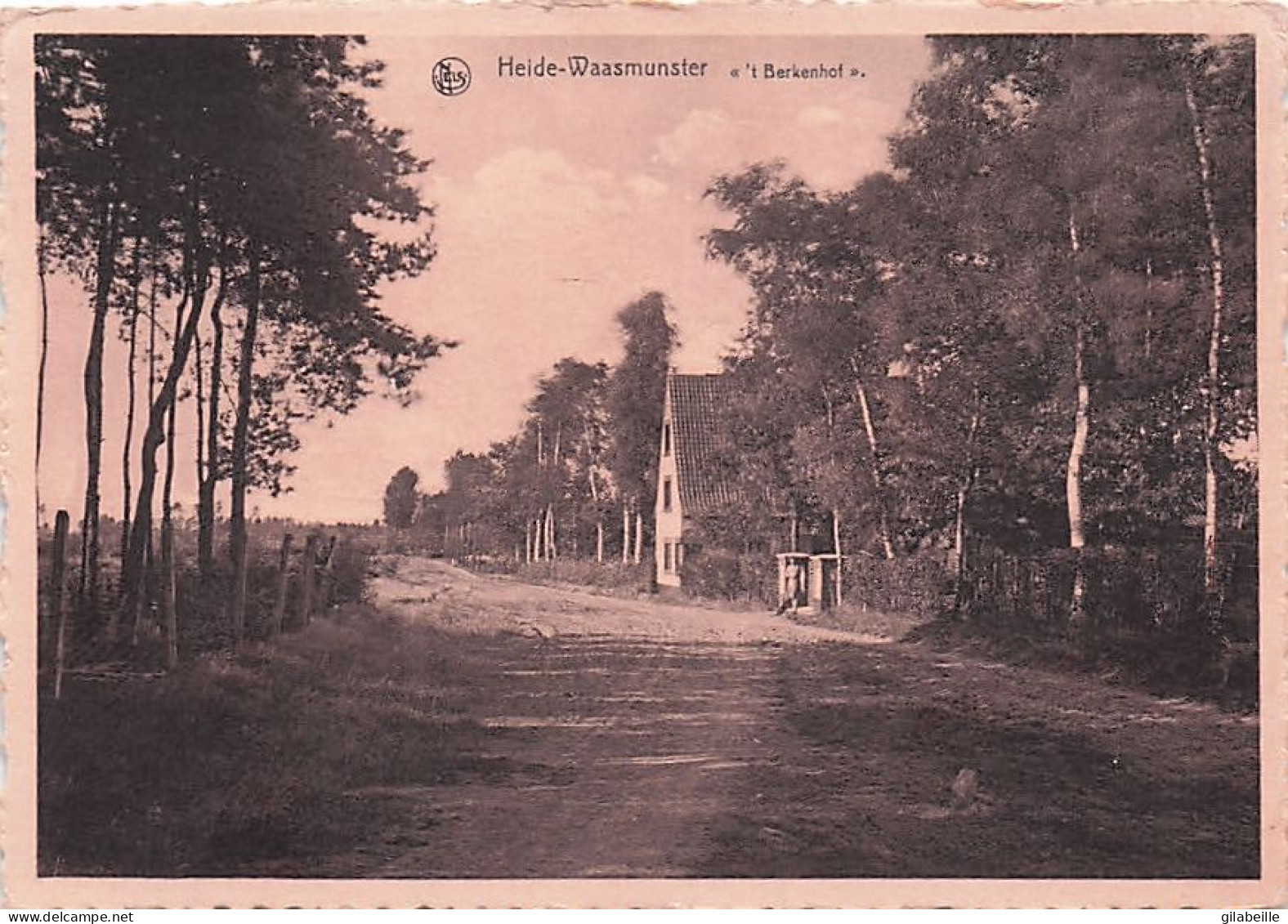 Waasmunster Heide-Waasmunster "t Berkenhof"