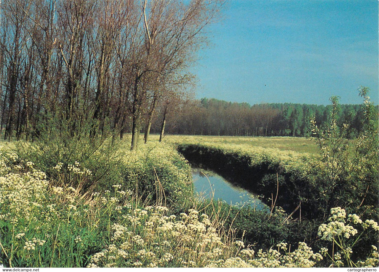 Waasmunster scenic postcard