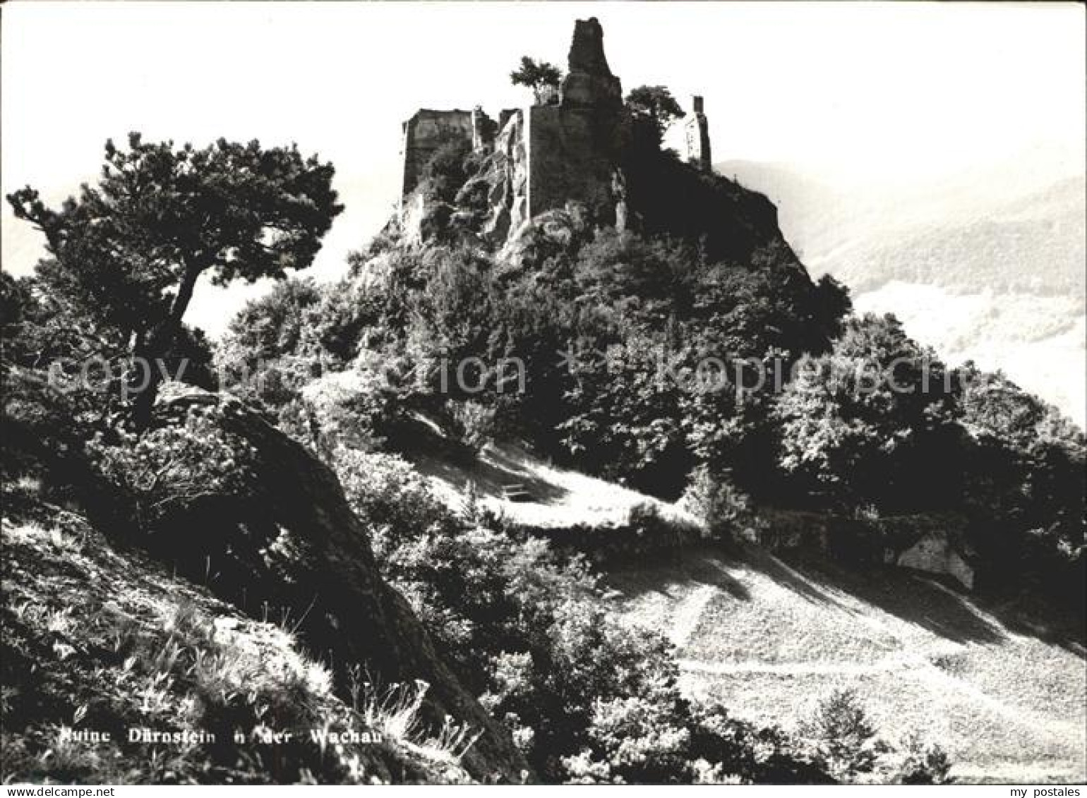 Wachau Oesterreich Ruine Duernstein
